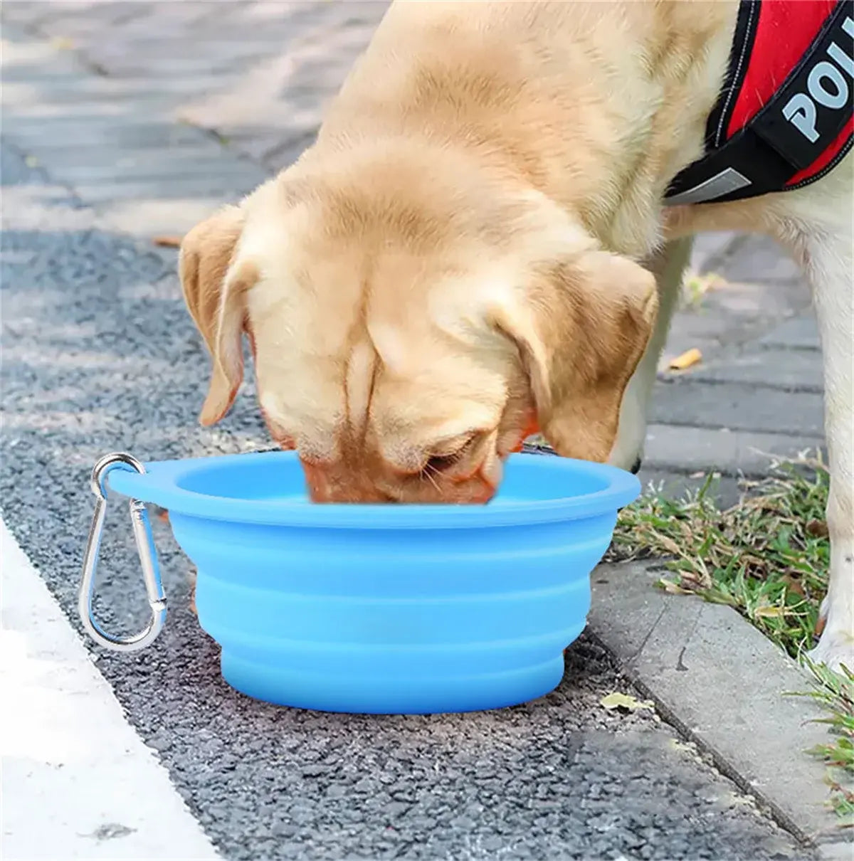 Collapsible / Retractable Pet Bowl - Large, Small, Dogs, Cats