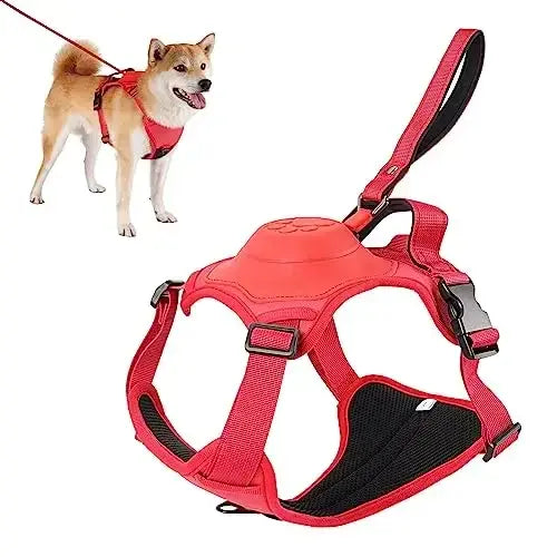 All-in-One Pet Harness & Retractable Leash - Dogs, Cats
