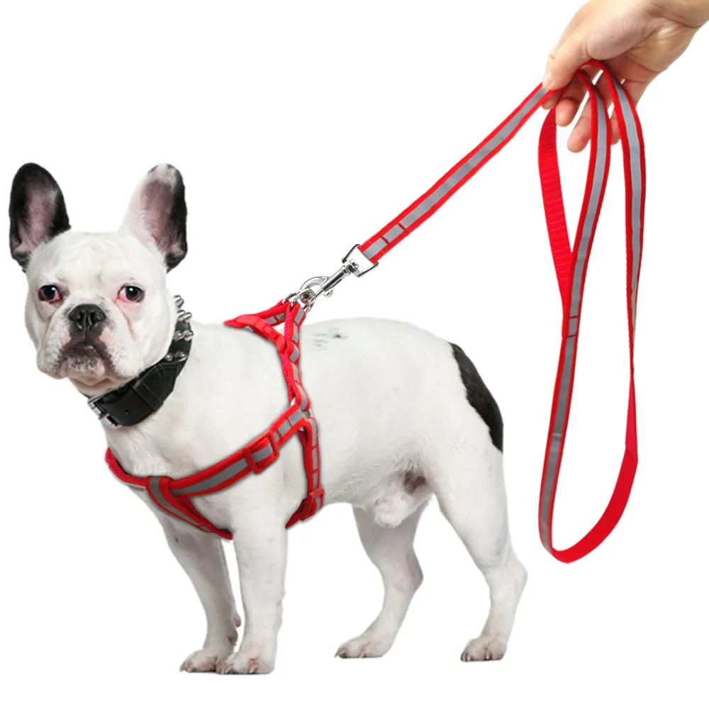 Pet Leash Set With Reflective Design - Harness & Leash, Dogs, Cats, Rabbits