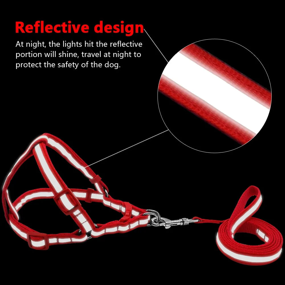 Pet Leash Set With Reflective Design - Harness & Leash, Dogs, Cats, Rabbits