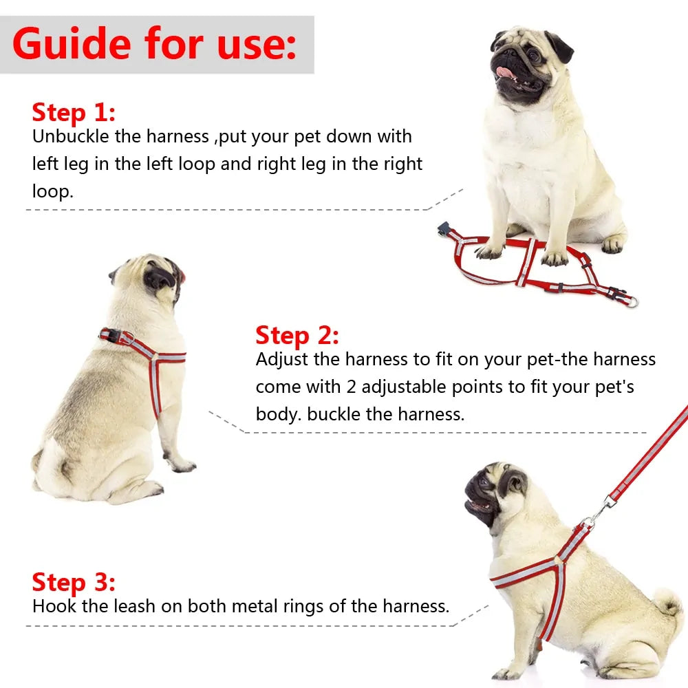 Pet Leash Set With Reflective Design - Harness & Leash, Dogs, Cats, Rabbits