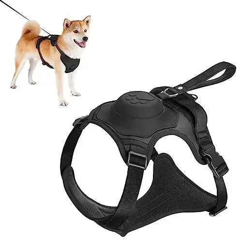 All-in-One Pet Harness & Retractable Leash - Dogs, Cats