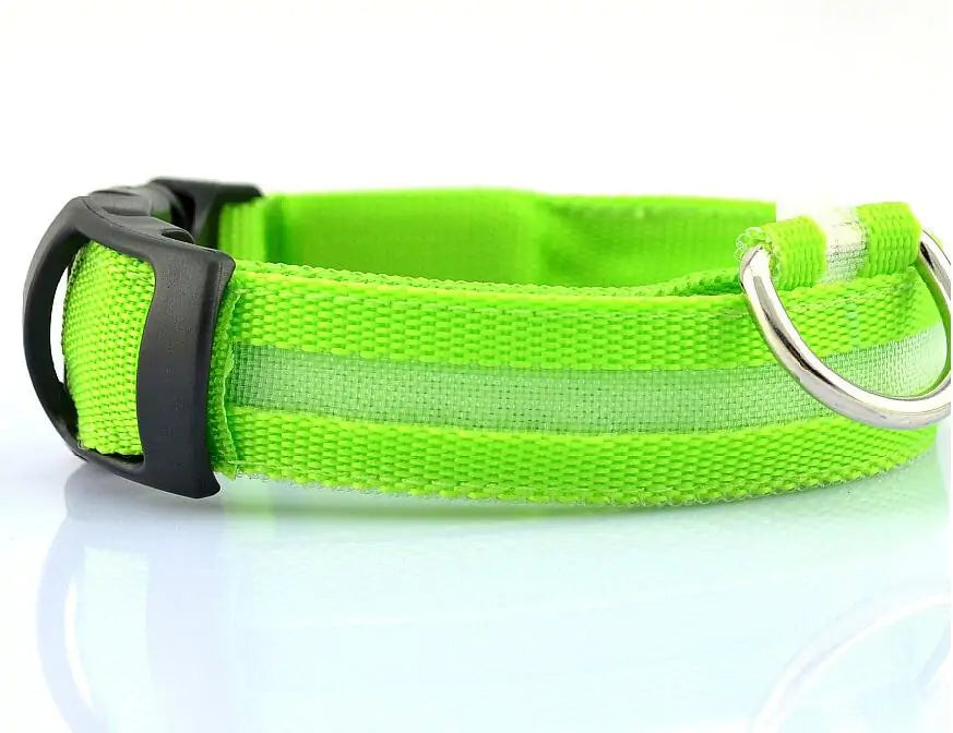 Pet LED Collar - Dogs, Cats, Rabbits