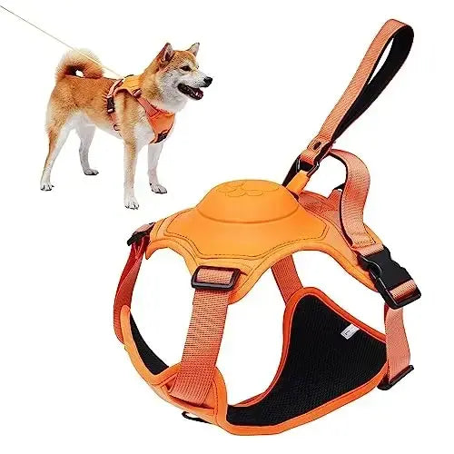 All-in-One Pet Harness & Retractable Leash - Dogs, Cats