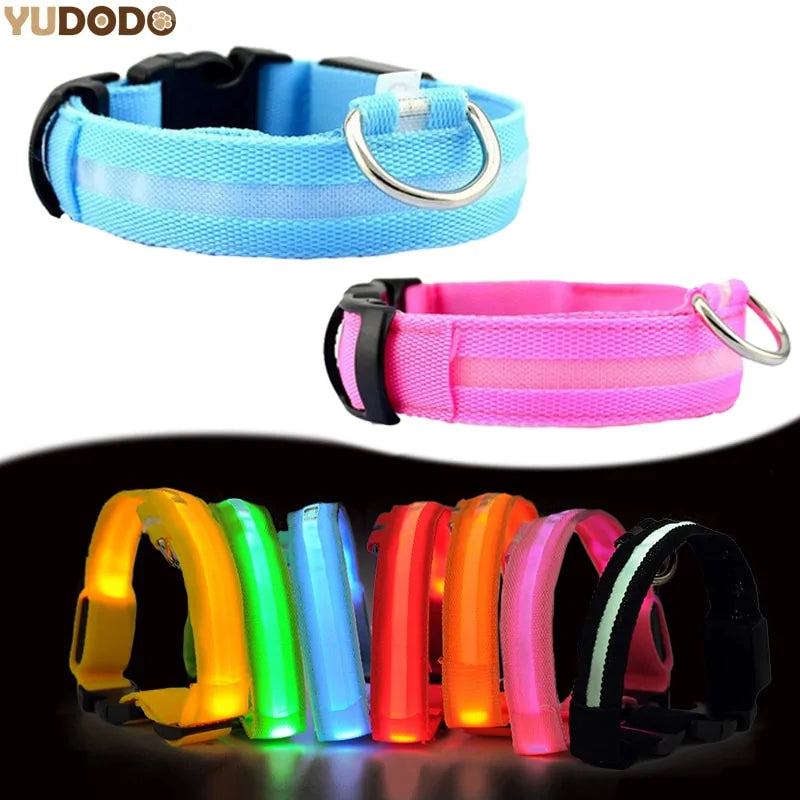 Pet LED Collar - Dogs, Cats, Rabbits