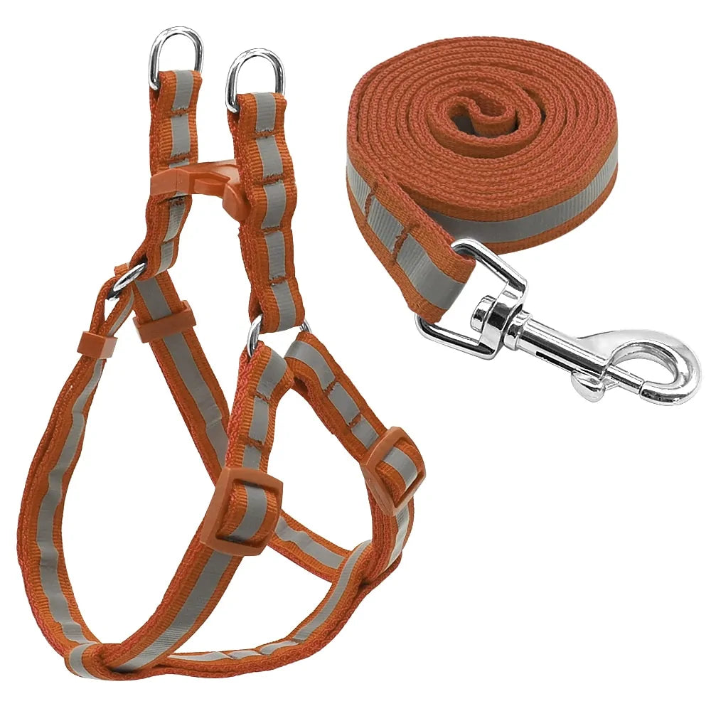 Pet Leash Set With Reflective Design - Harness & Leash, Dogs, Cats, Rabbits