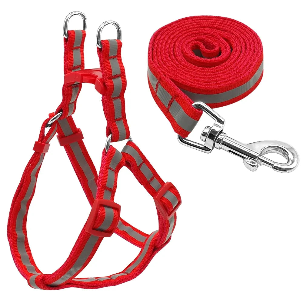 Pet Leash Set With Reflective Design - Harness & Leash, Dogs, Cats, Rabbits