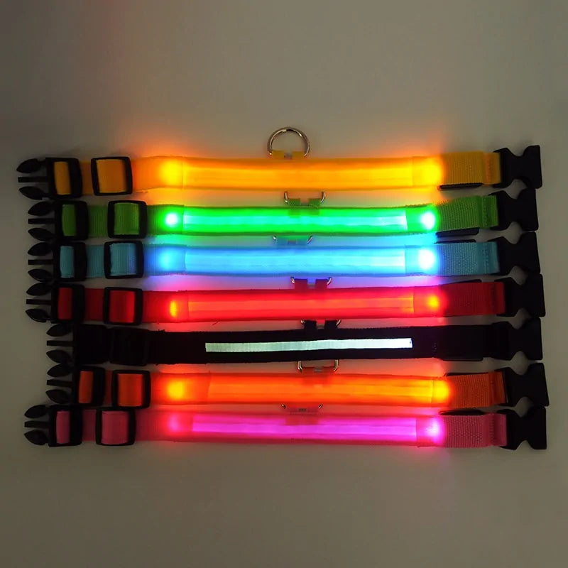 Pet LED Collar - Dogs, Cats, Rabbits