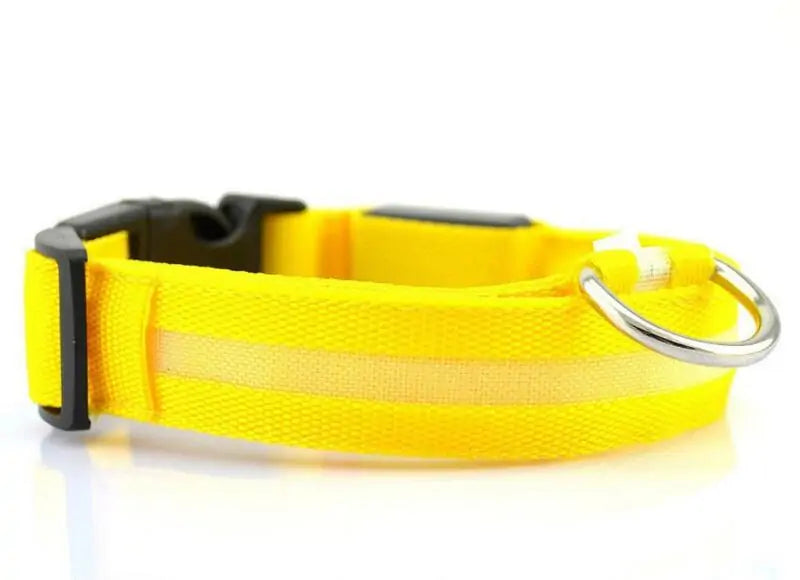 Pet LED Collar - Dogs, Cats, Rabbits