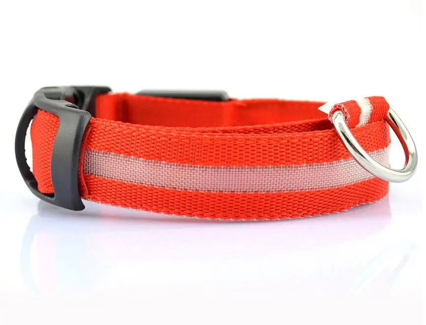Pet LED Collar - Dogs, Cats, Rabbits