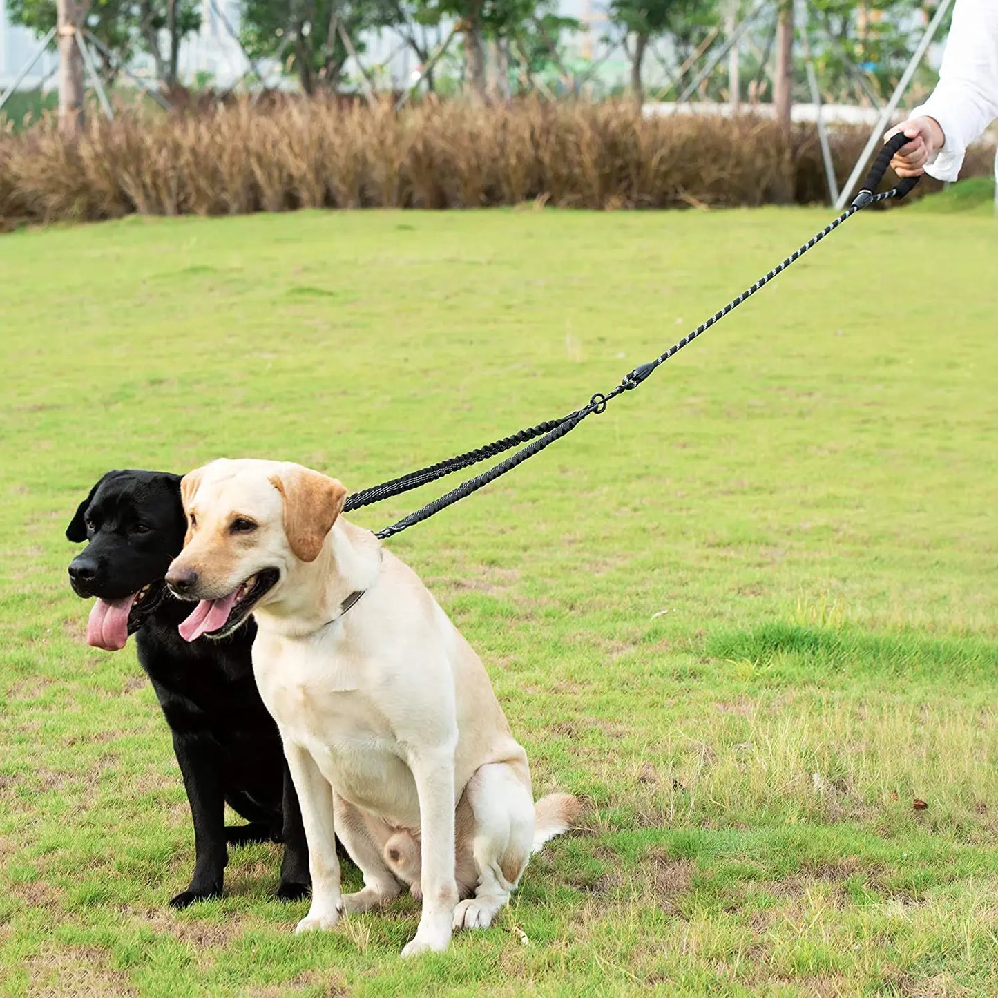 Double Lead Pet Leash - Dogs, Cats