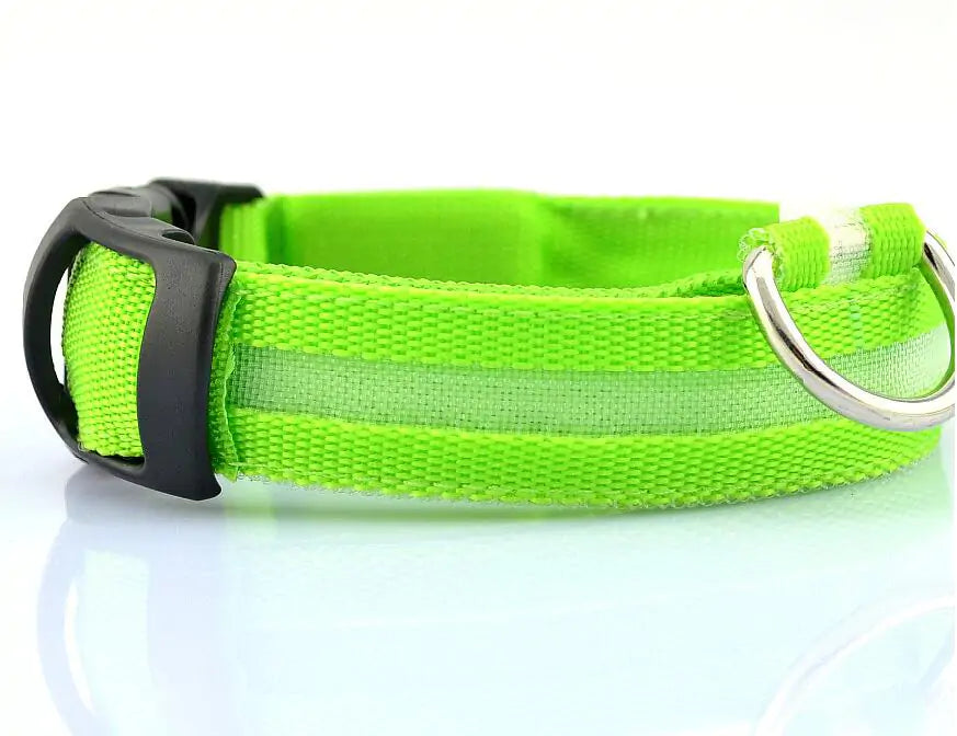 Pet LED Collar - Dogs, Cats, Rabbits