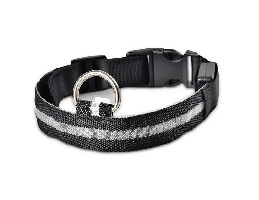 Pet LED Collar - Dogs, Cats, Rabbits