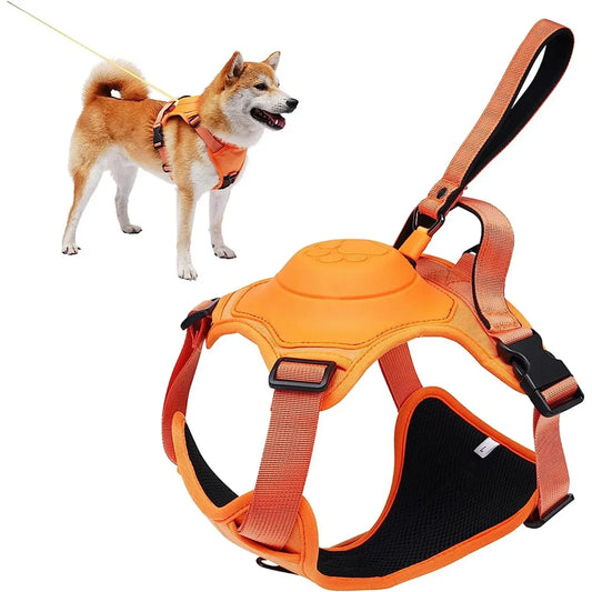 All-in-One Pet Harness & Retractable Leash - Dogs, Cats