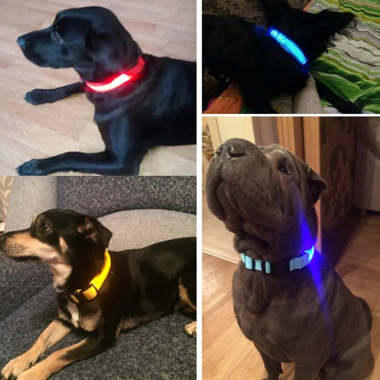 Pet LED Collar - Dogs, Cats, Rabbits