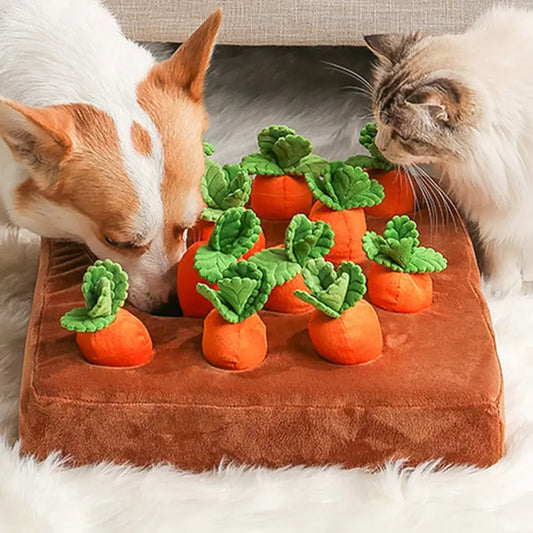 Plush Pet Chew Toy - Dogs, Cats, Fun