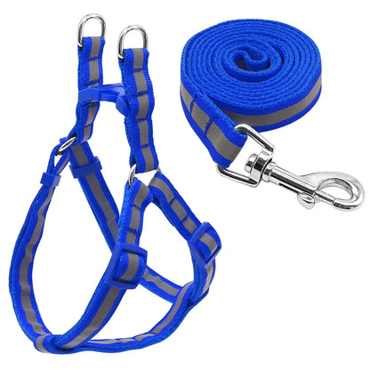 Pet Leash Set With Reflective Design - Harness & Leash, Dogs, Cats, Rabbits