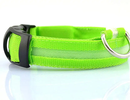 Pet LED Collar - Dogs, Cats, Rabbits