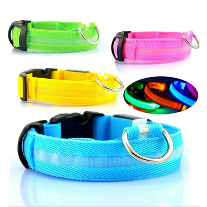 Pet LED Collar - Dogs, Cats, Rabbits